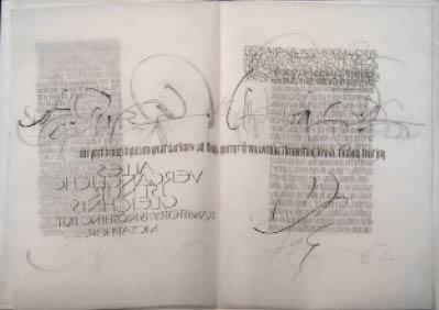 Owen.Brush%20Palimpsest.jpg